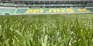 开云体育-记者晒工体视频：时隔146天又踏入工体草坪，早已内心澎湃